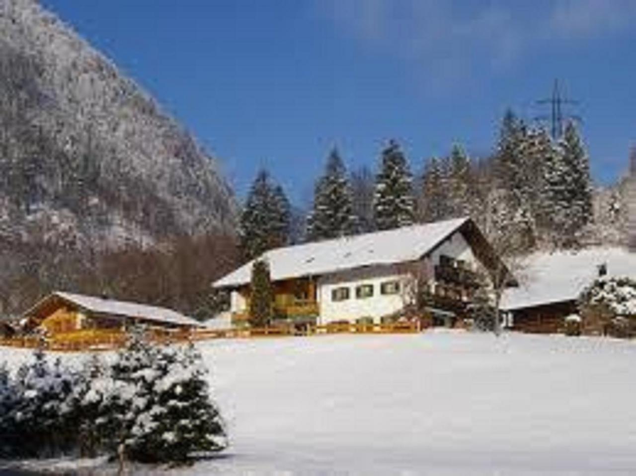 Haus Holzner-Nagl Apartment Schneizlreuth Exterior photo